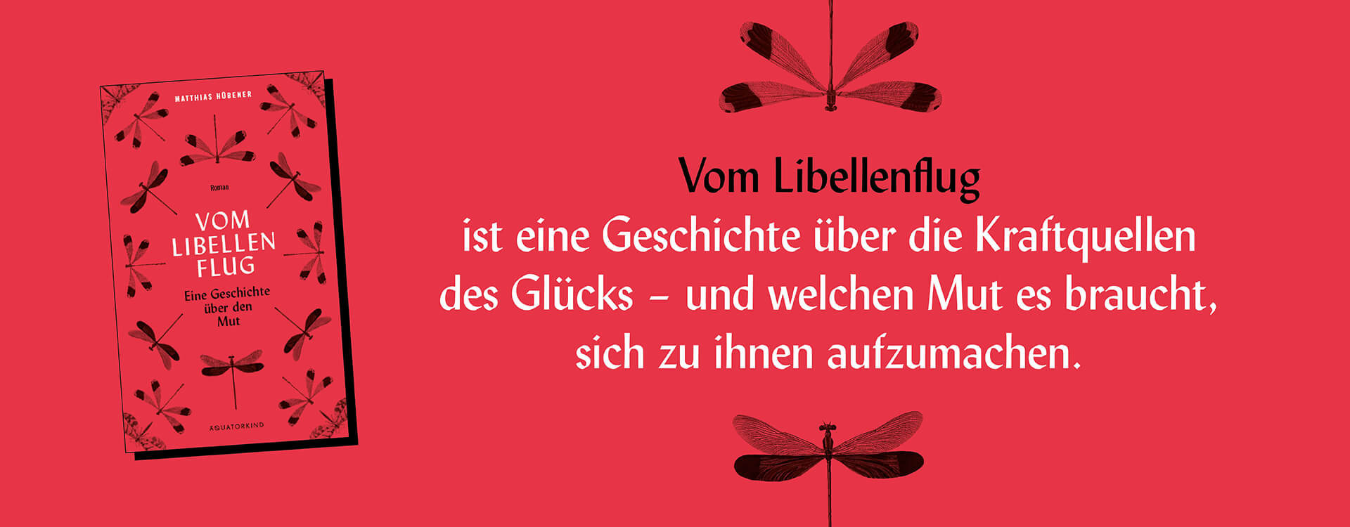 Libellenflug - Matthias Hübener