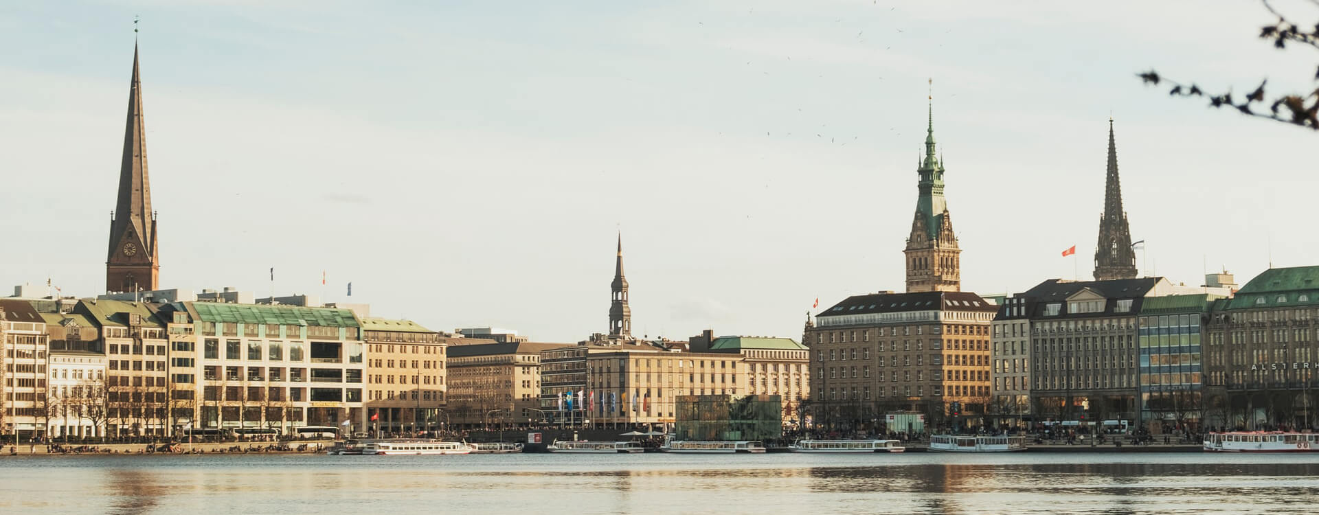 Matthias Hübener - Vom Libellenflug - Roman / Buch