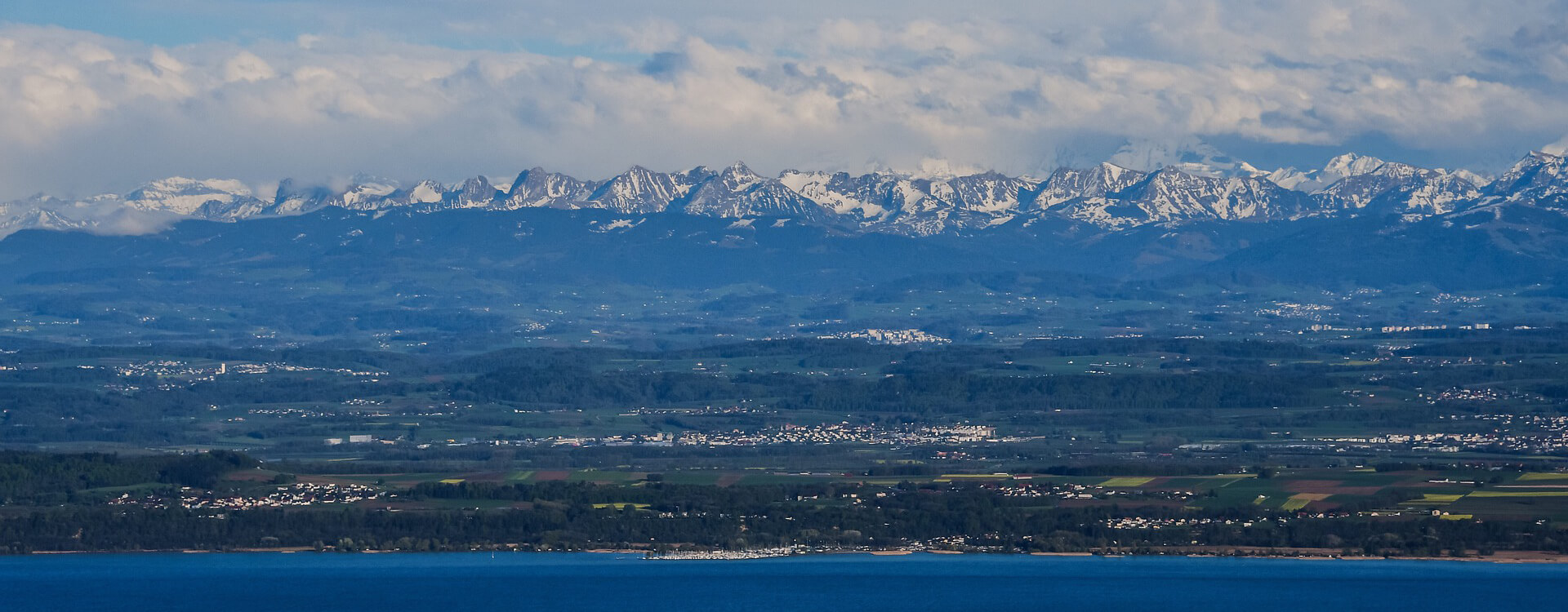 Matthias Hübener - Vom Libellenflug - Roman / Buch