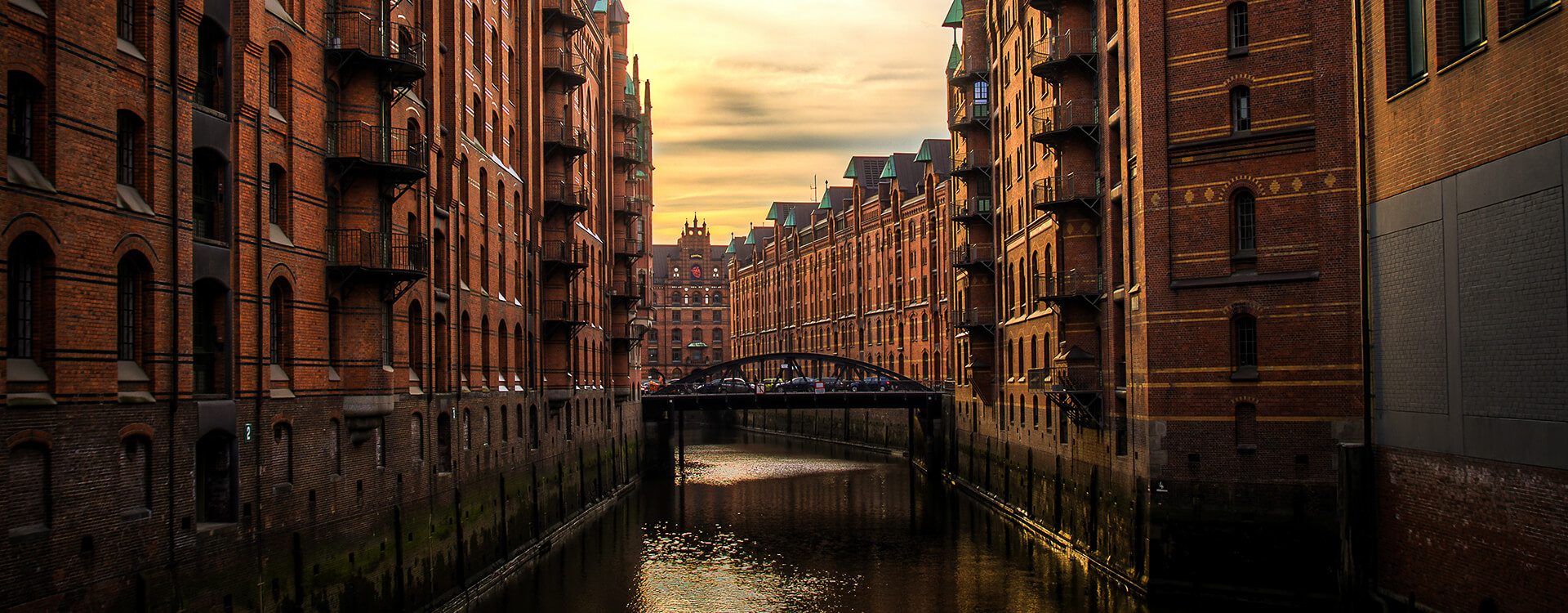 Matthias Hübener - Vom Libellenflug - Roman / Buch
