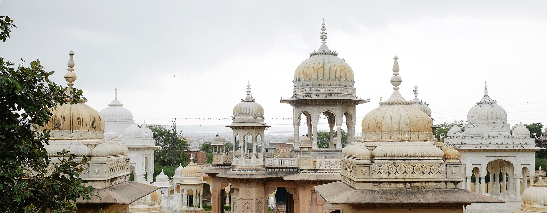Matthias Hübener - Vom Libellenflug - Roman / Buch