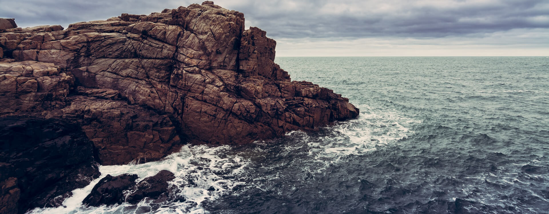 Matthias Hübener - Vom Libellenflug - Roman / Buch