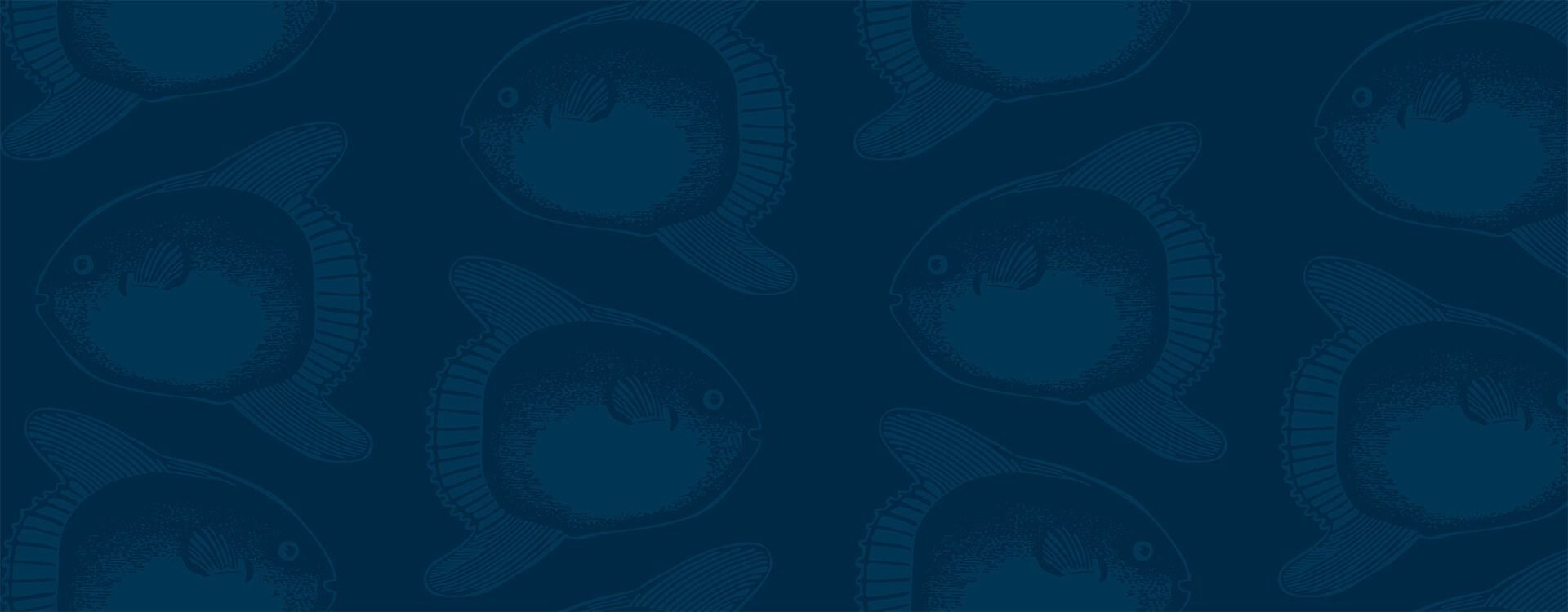 Roman - Das Leuchten der Mondfische